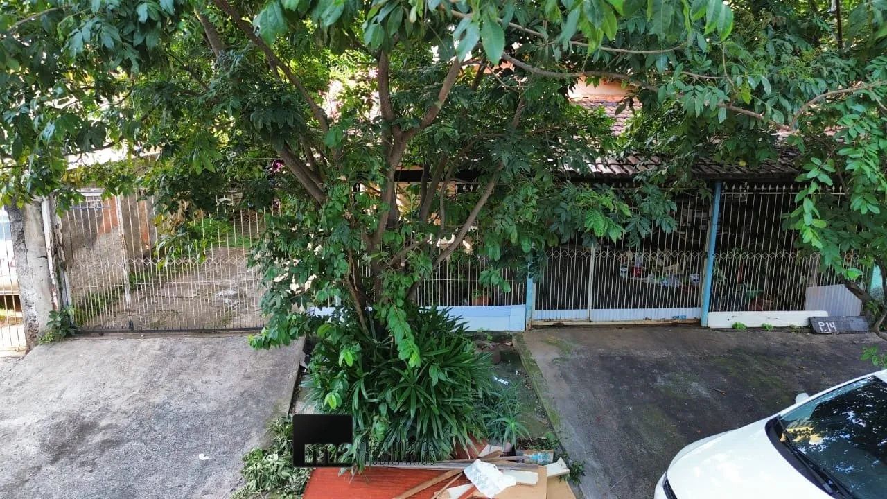 Terreno à venda / Parque Amazonas - Foto 2
