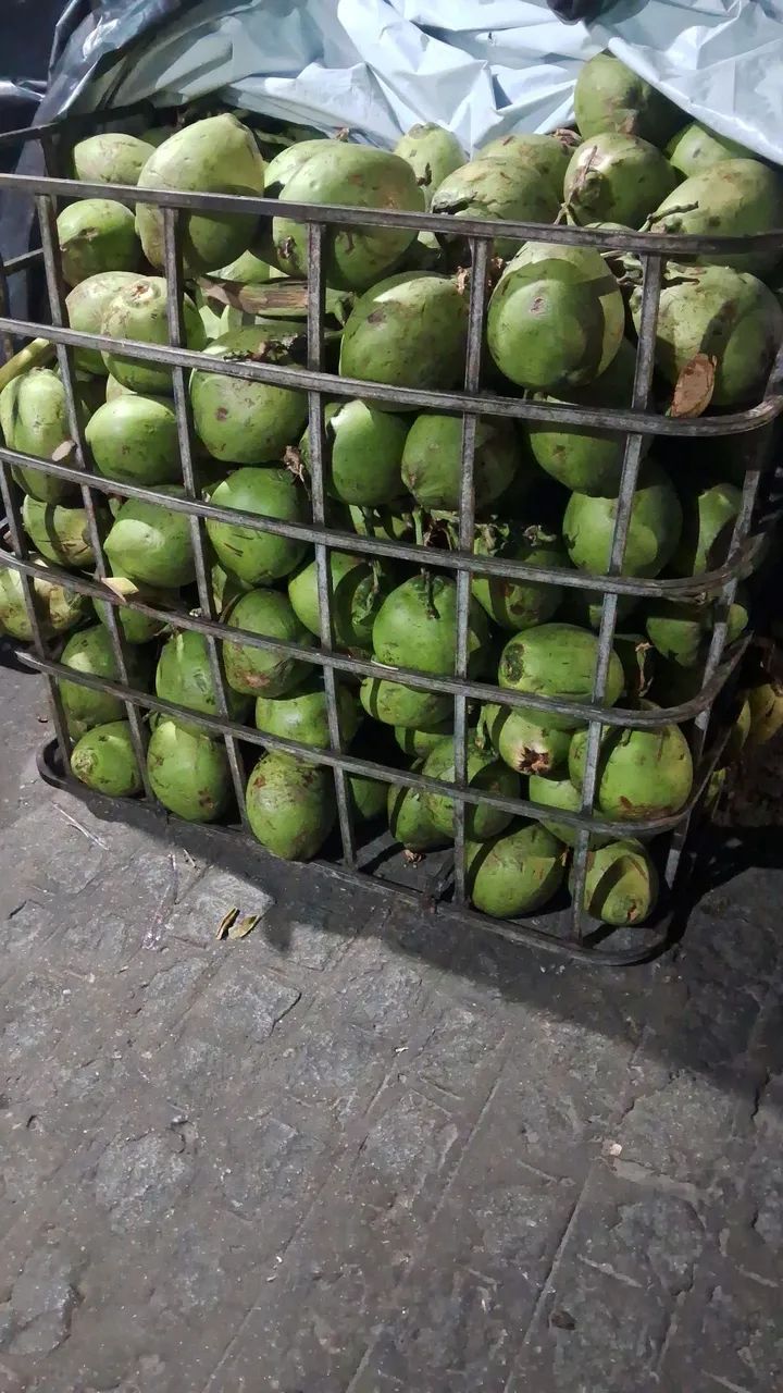 COCO VERDE ATACADO E VAREJO 