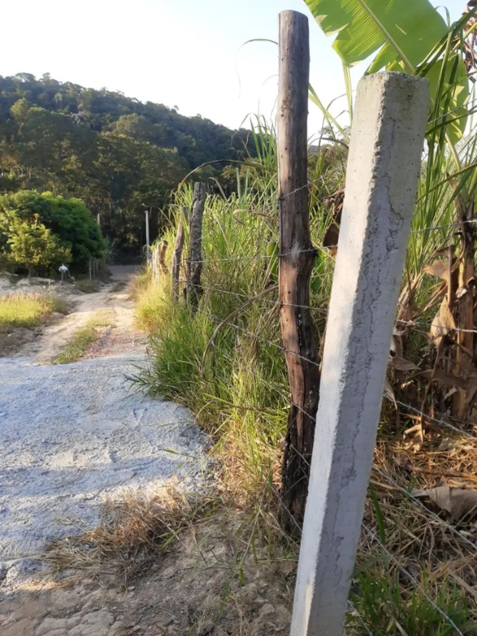 Terreno 1000 m² - Foto 4