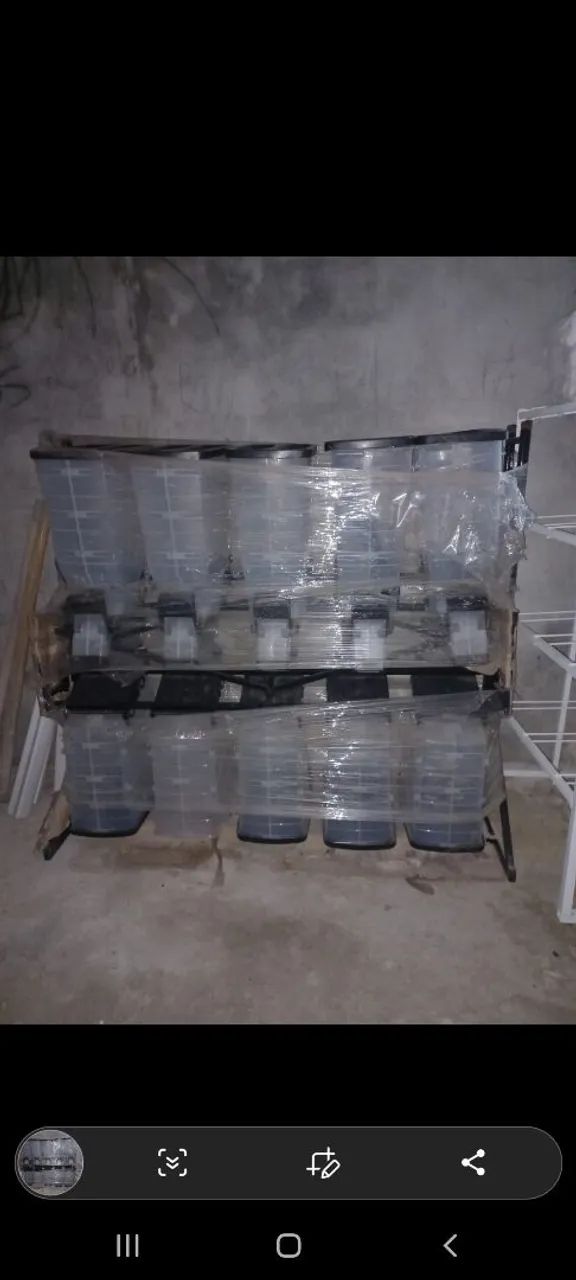 Expositor de ração  - Foto 2