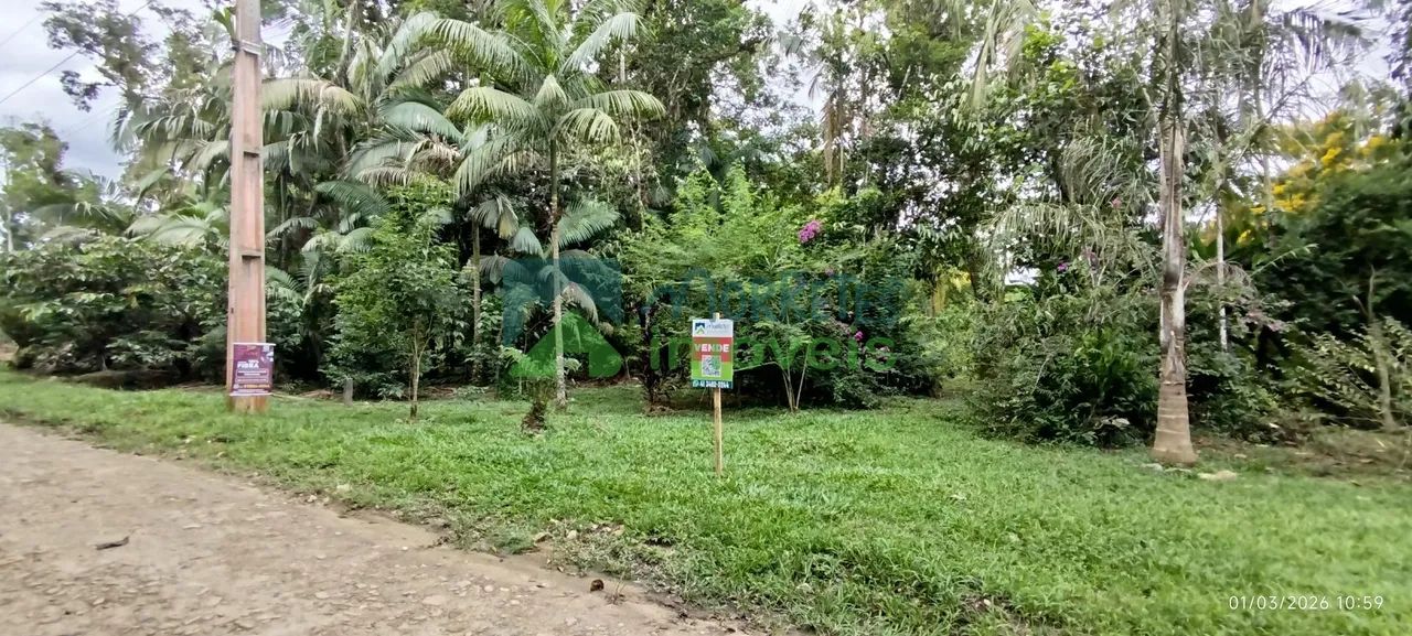 Lotes a Venda em Morretes - Foto 3