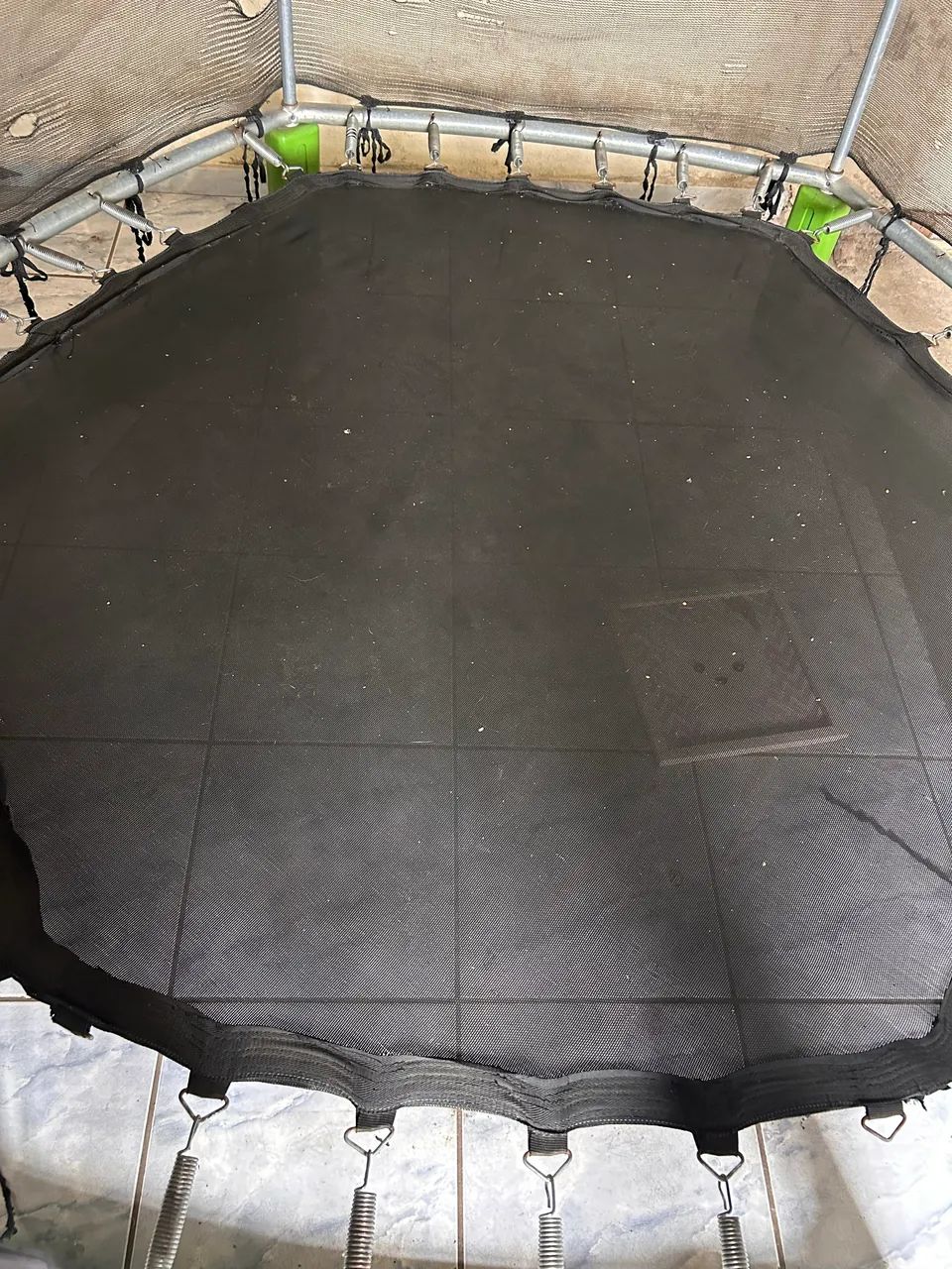Pula pula  - Foto 2