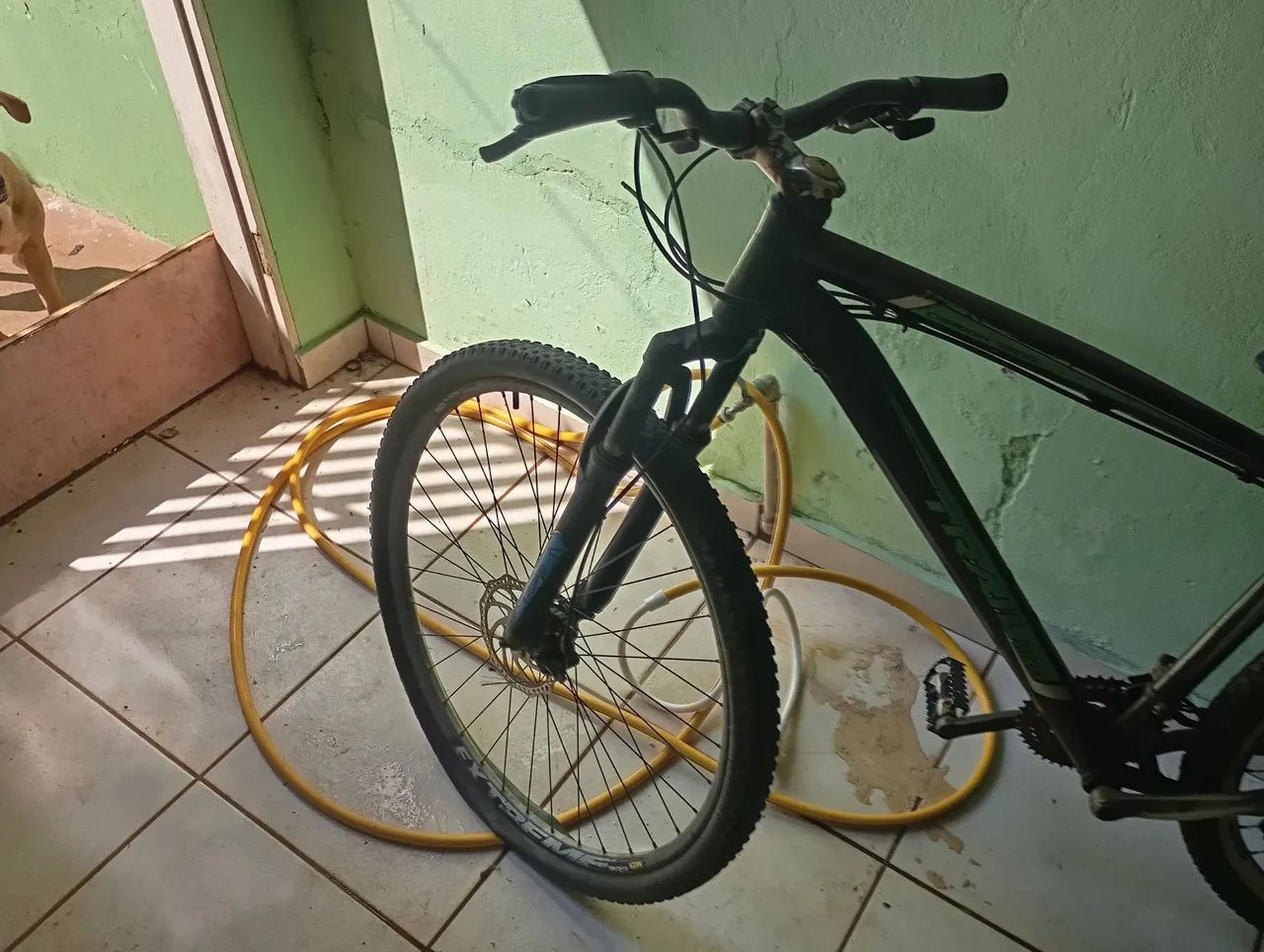 Bicicleta 