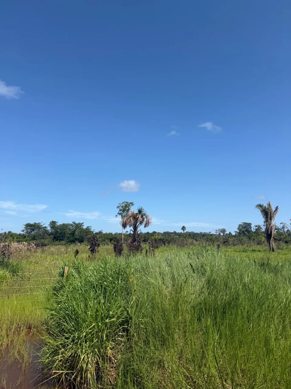 fazendinha barato no Cantá  - Foto 4