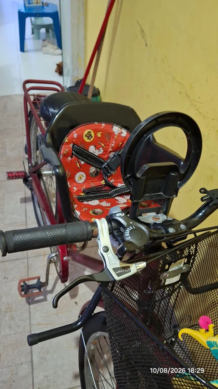 Cadeirinha infantil bicicleta 