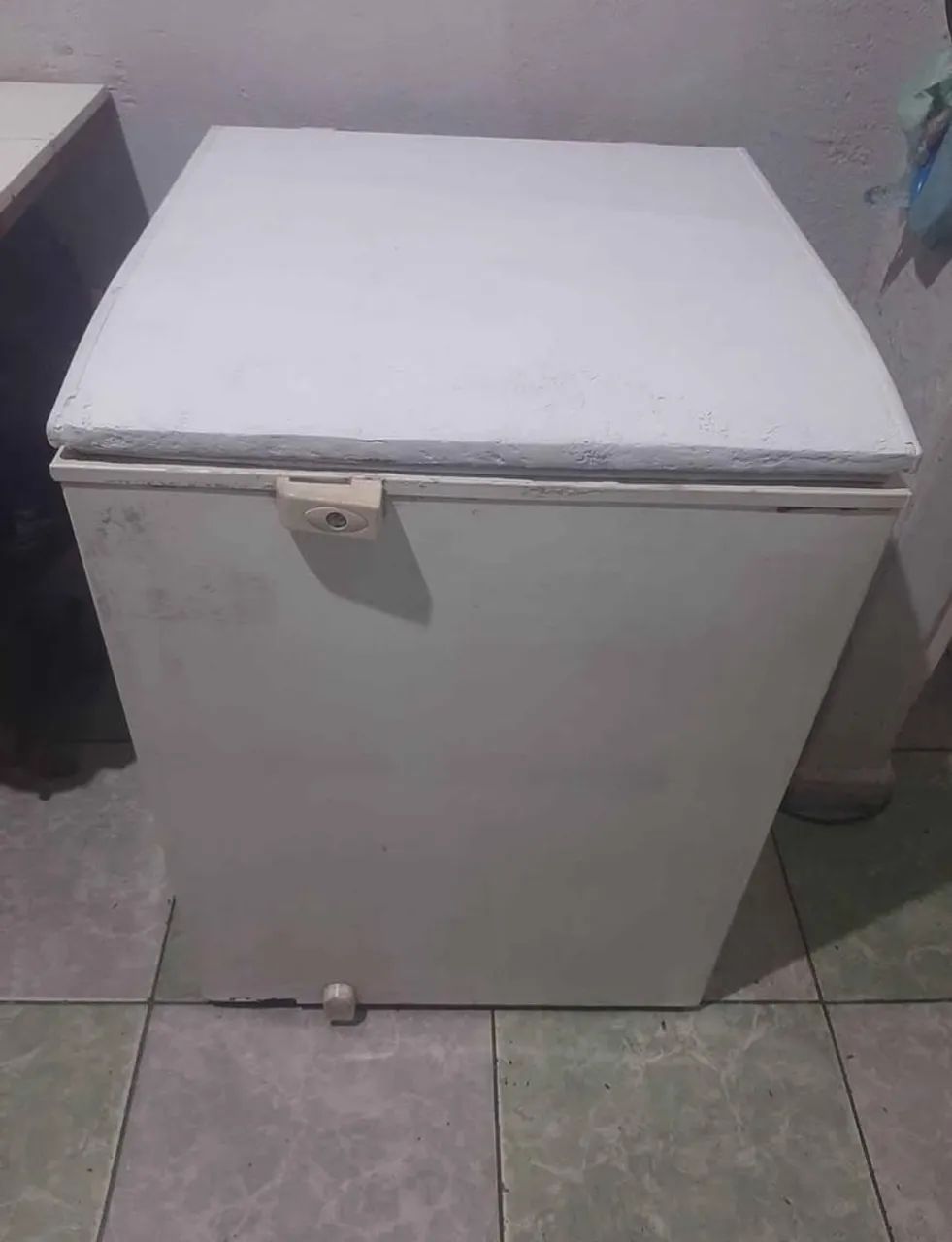 Freezer Eletrolux 110v