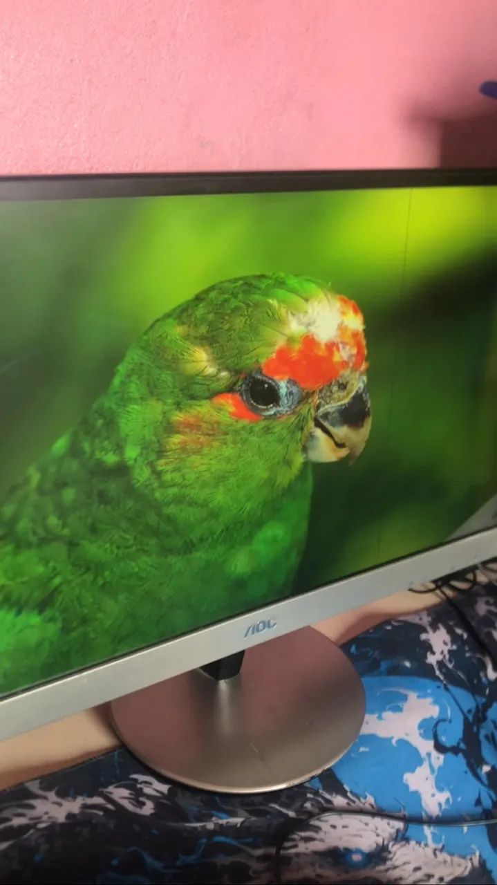 Monitor AOC  - Foto 2
