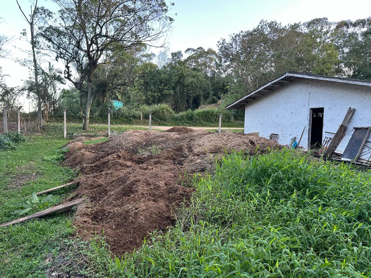 Doa-se esterco de cavalo - Foto 2