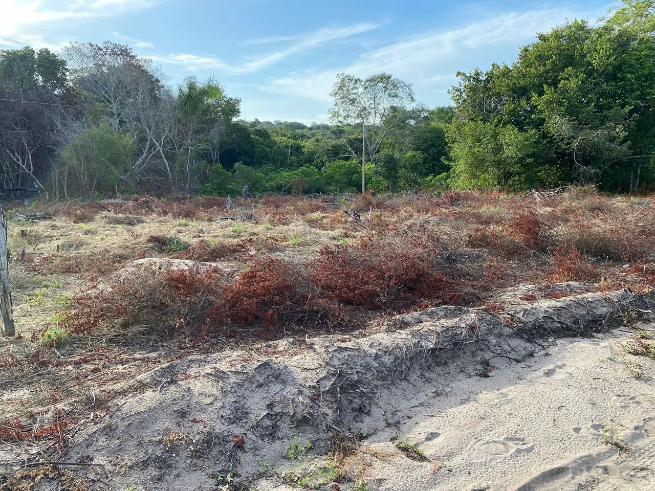 Foto - Santarém - Esperança