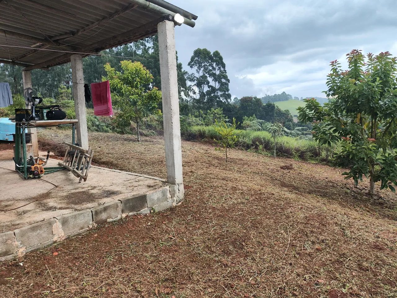 Oferta terreno na roça  - Foto 4