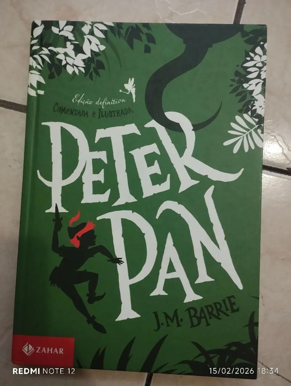 peter pan livro - Foto 2