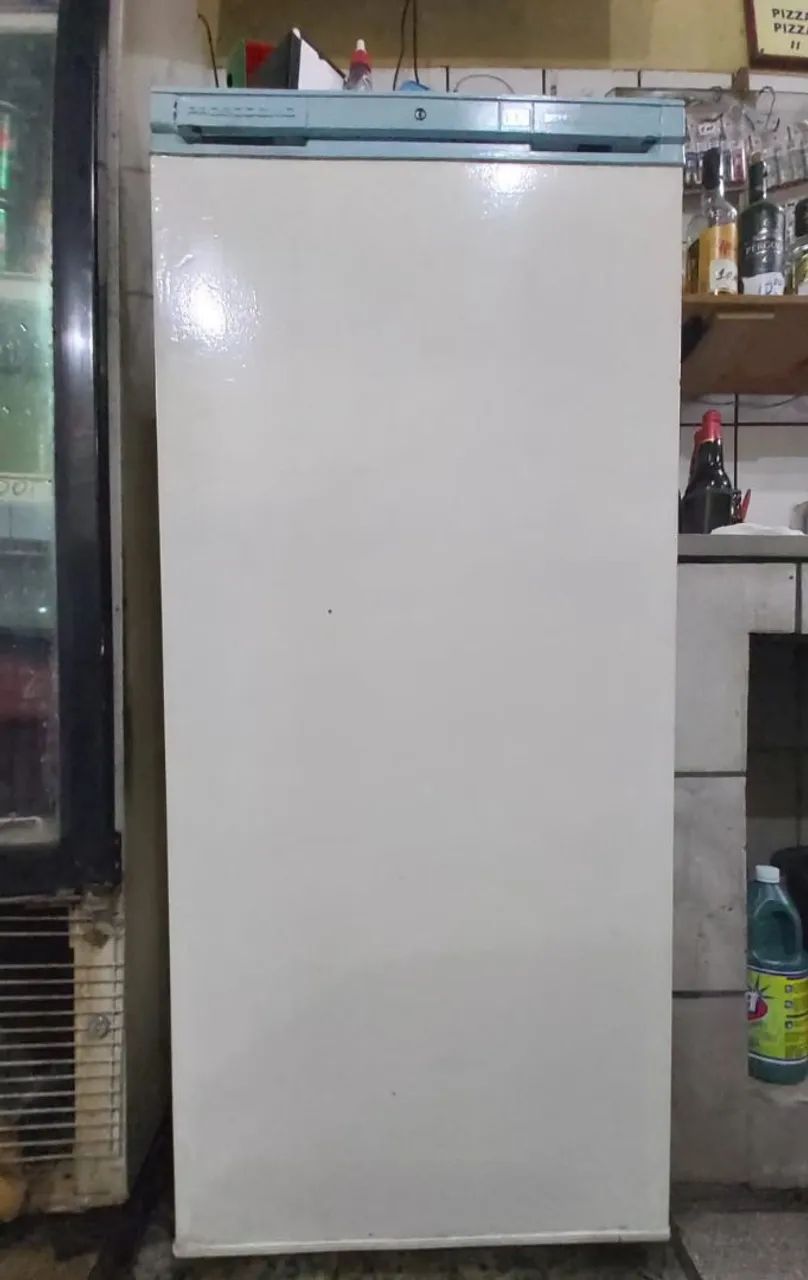 Freezer Prosdócimo 110V
