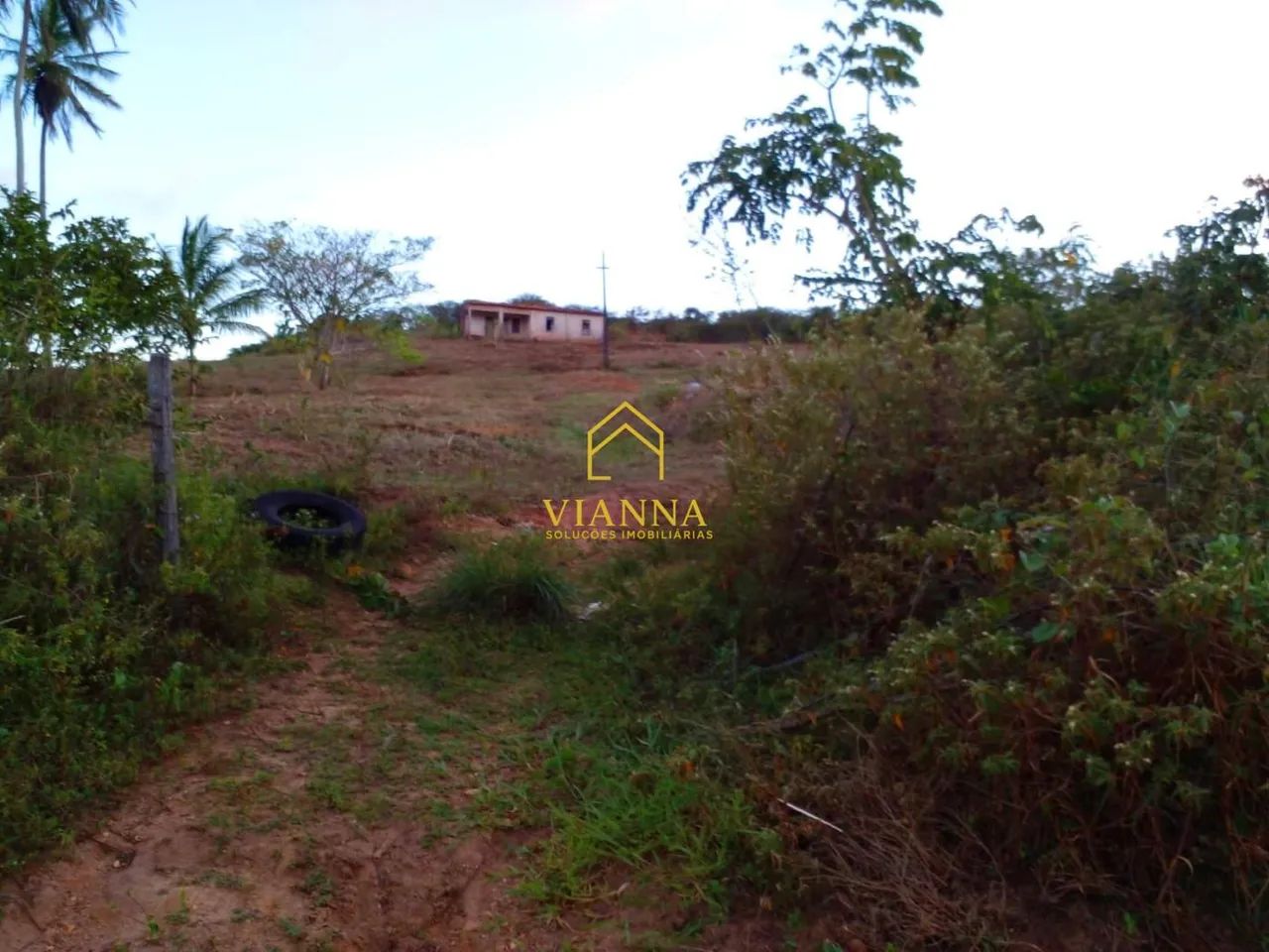 Fazenda Área de Terras na Cabrita  São Cristóvão/SE - Foto 3
