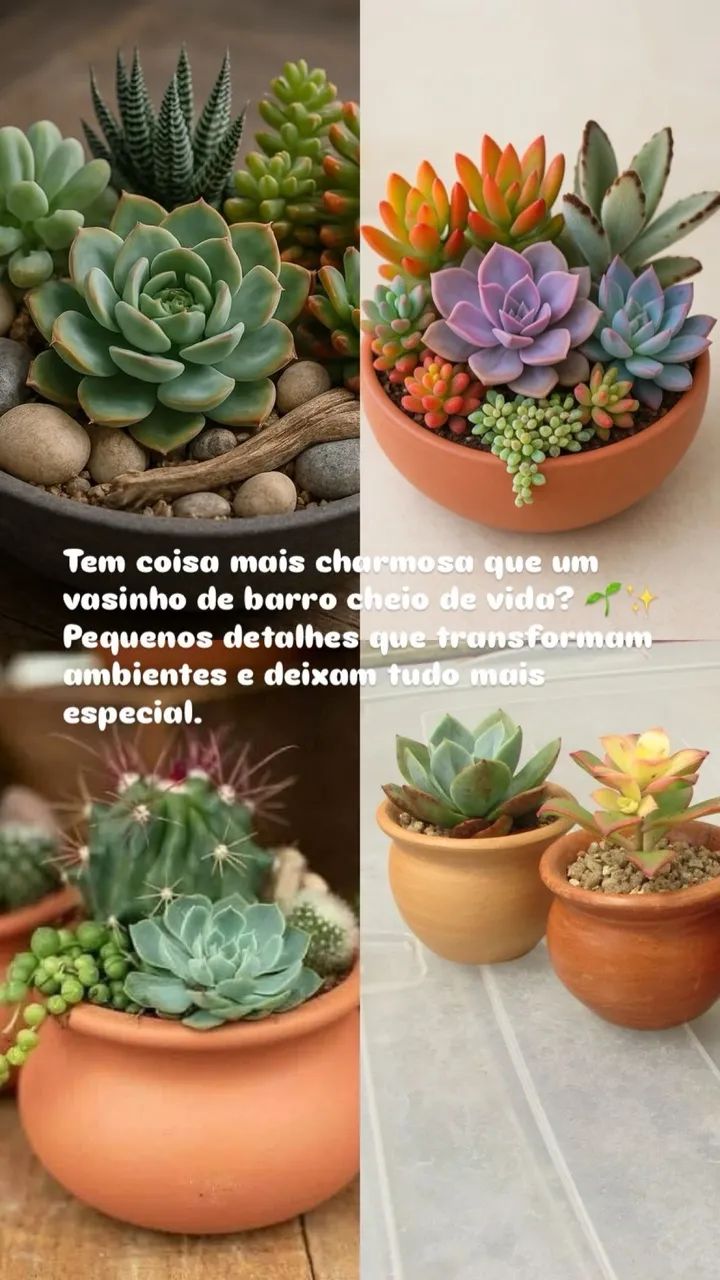 Mudinhas e vasos prontos disponíveis  - Foto 2