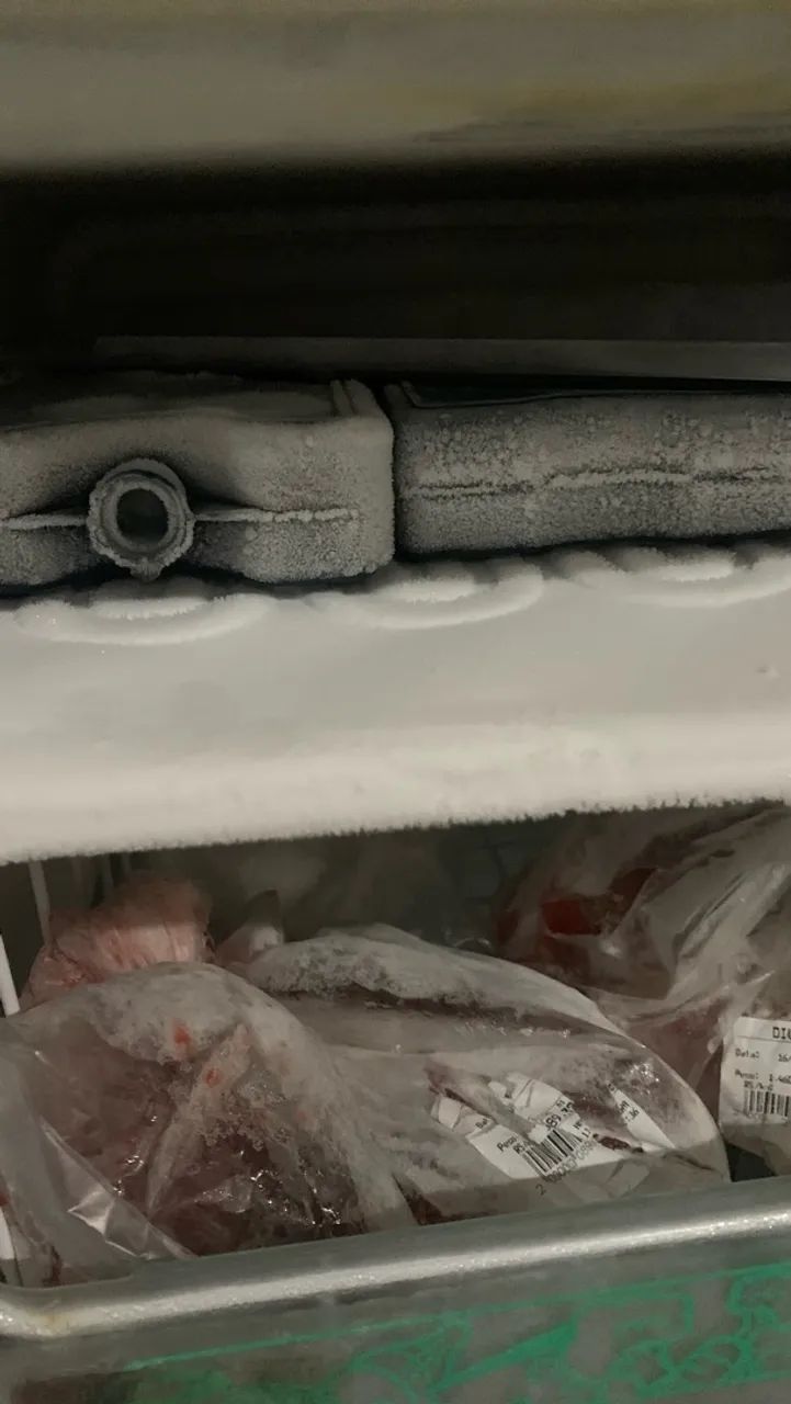 Freezer vertical tampa Sega  - Foto 5