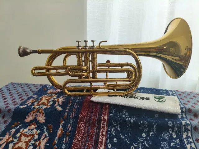 Instrumento ? Trombonito  - Foto 2