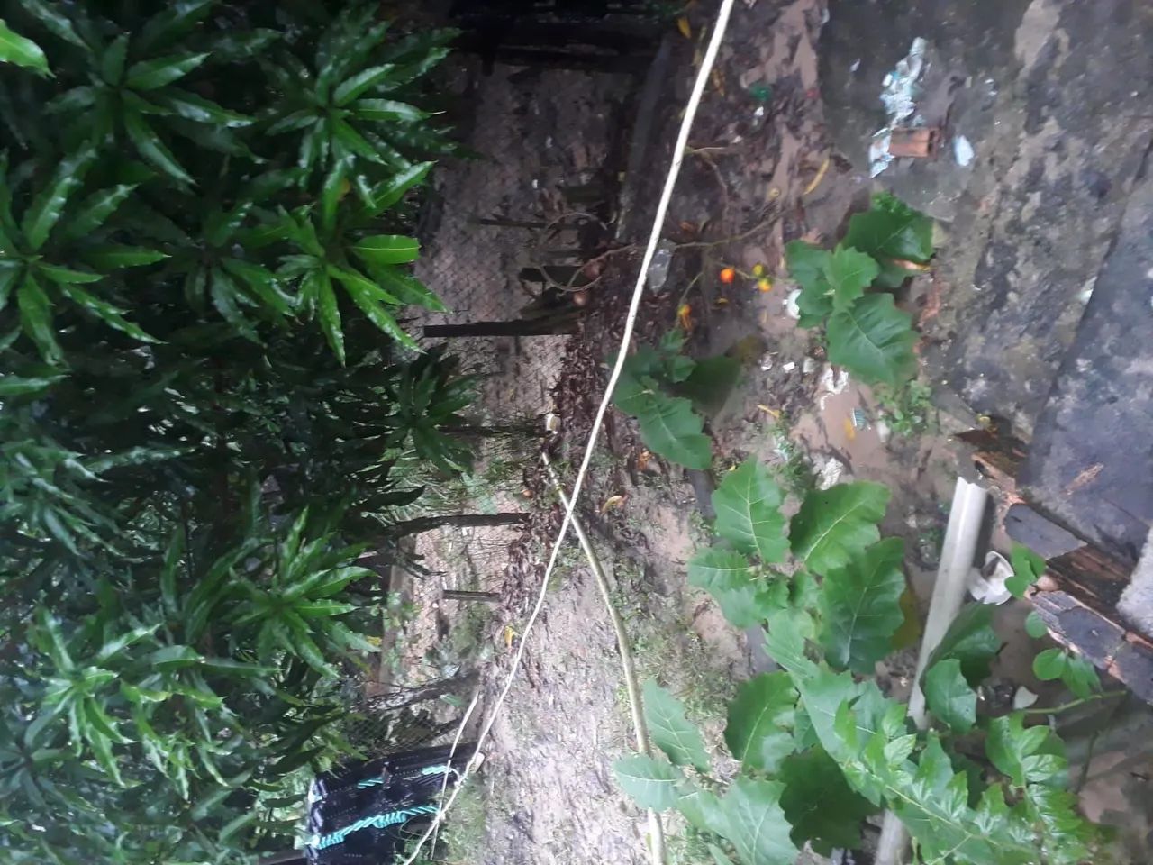 Foto - Manaus - Jorge Teixeira