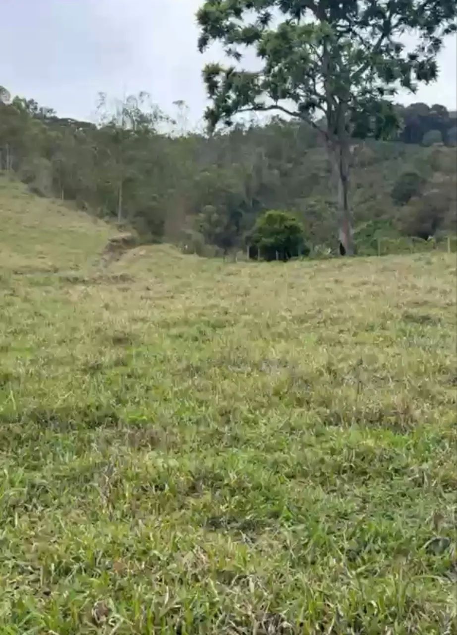 FAZENDINHA 15 HECTARES EM ARACÊ - Foto 4