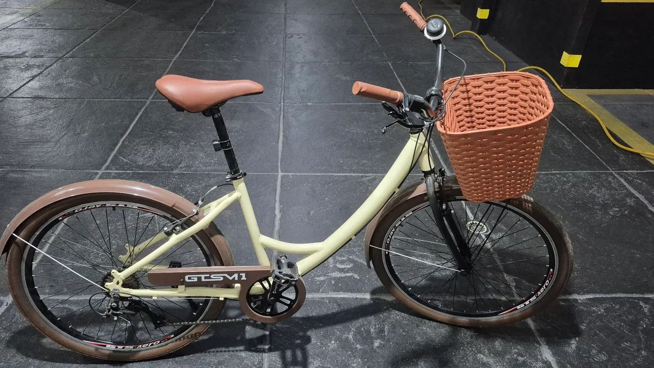 Bicicleta estilo retrô com cestinha