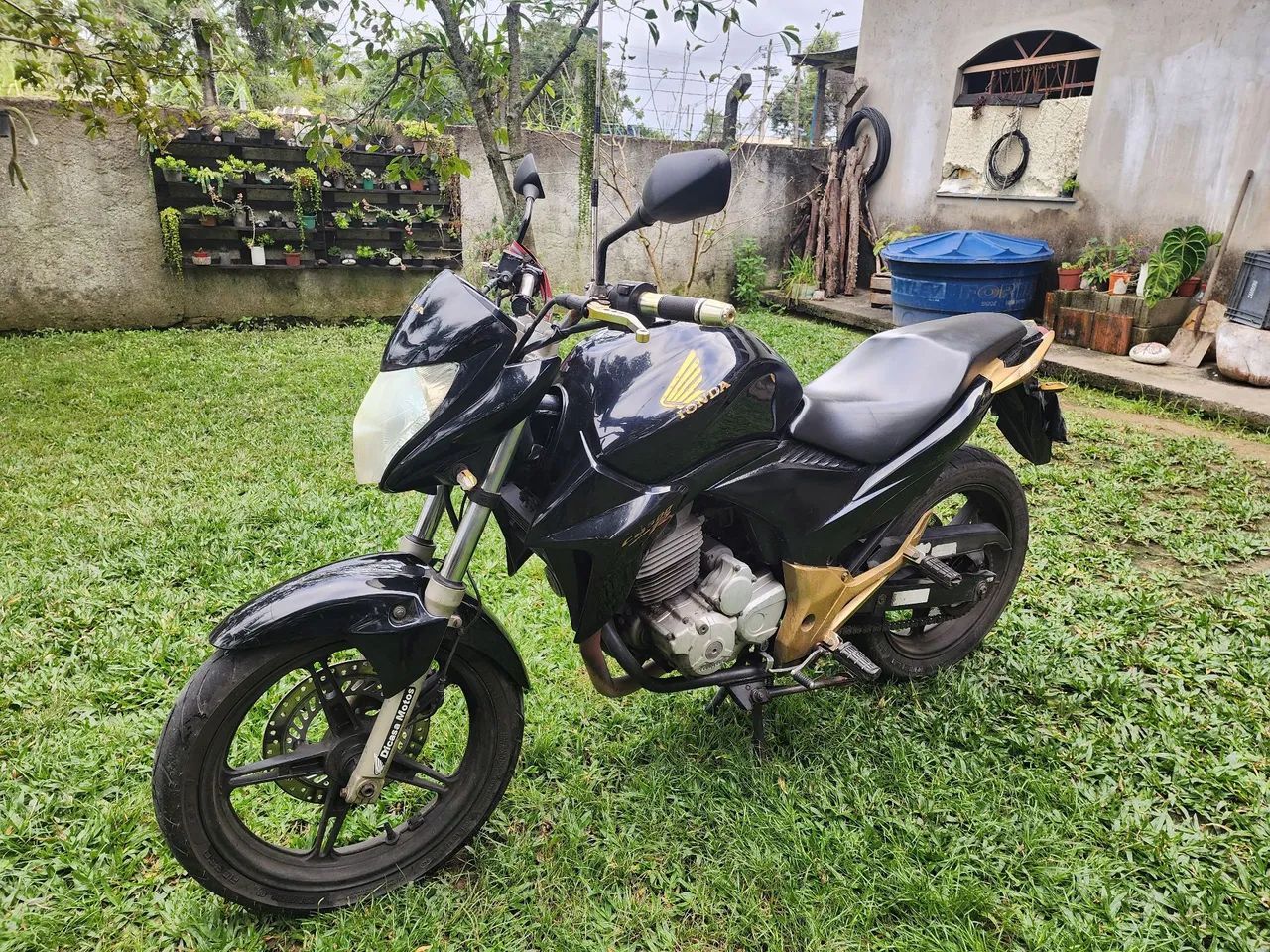 HONDA CB300R Flex2015