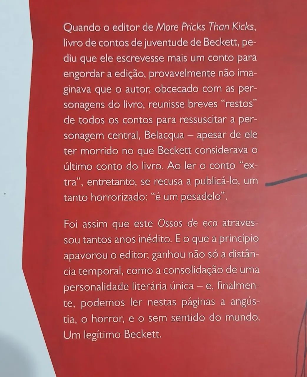 Ossos de eco - Foto 4