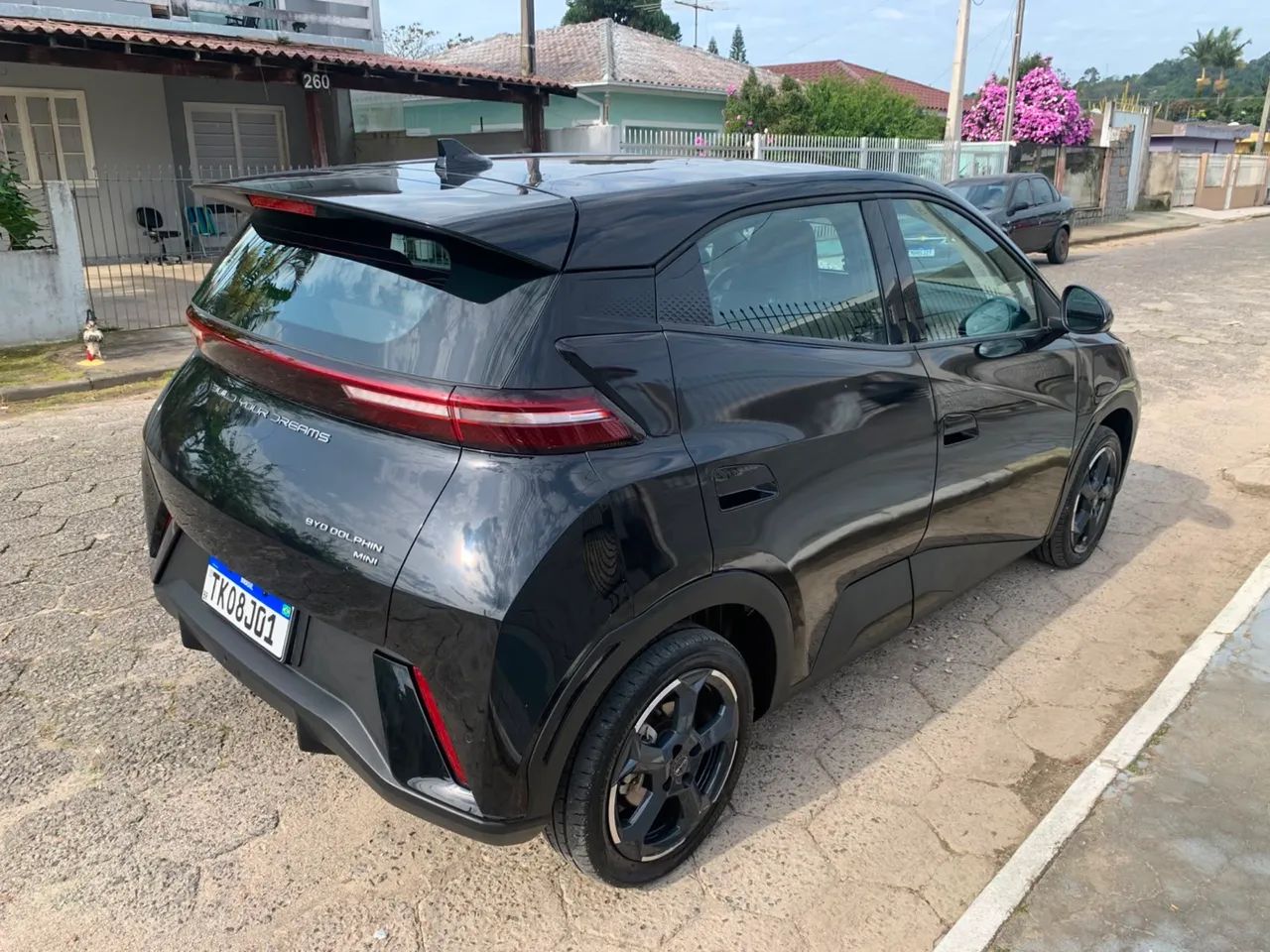 BYD Dolphin Mini (Elétrico) 2025 - Foto 4