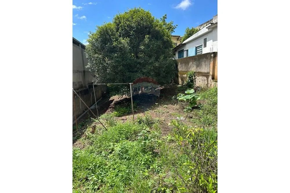 Terreno - São José do Calçado - Foto 2