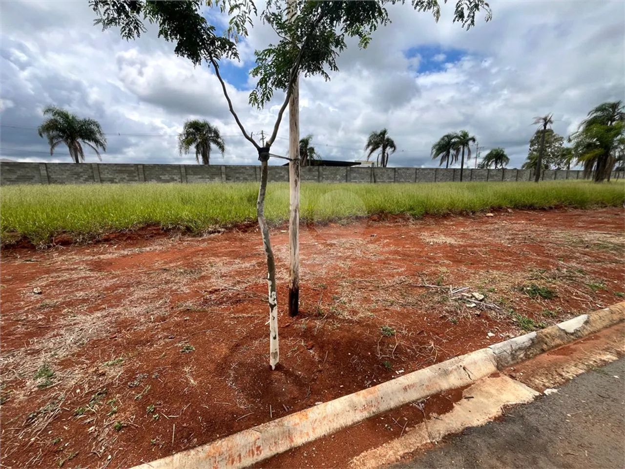 Loteamento à venda em Vila la brunetti - SP - Foto 3