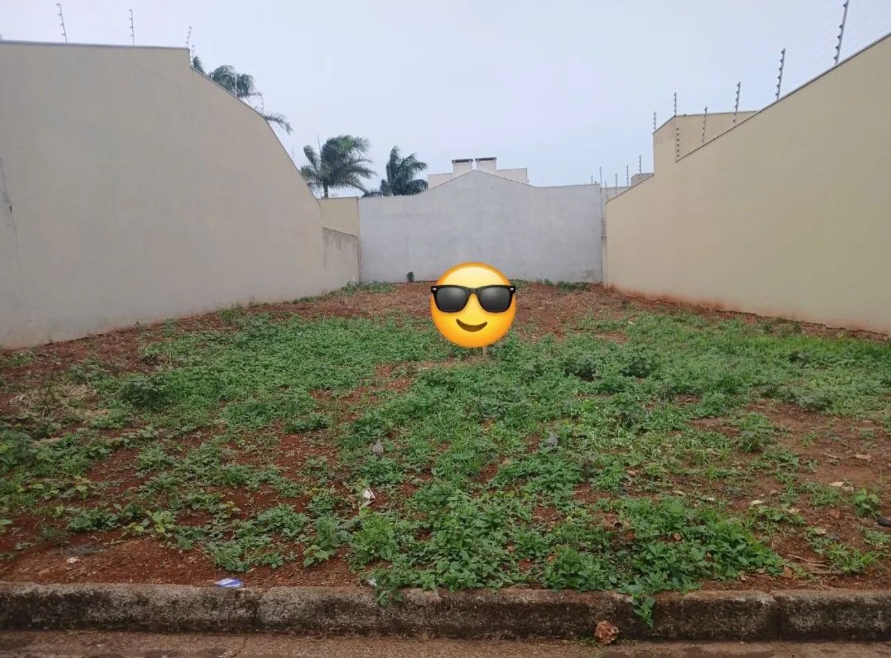 Foto - Arapongas - Conjunto Flamingos