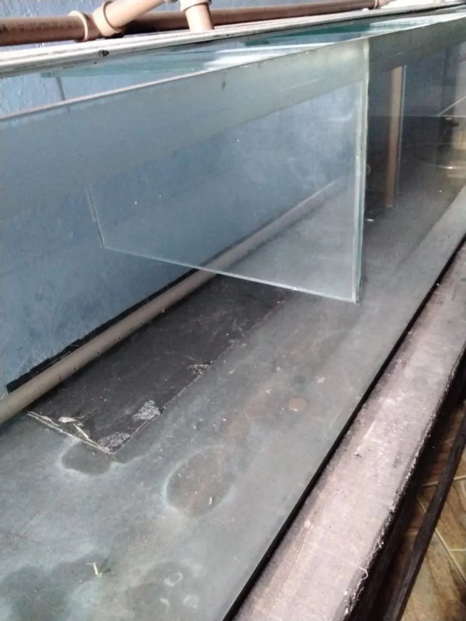 Aquário Gigante - Foto 2