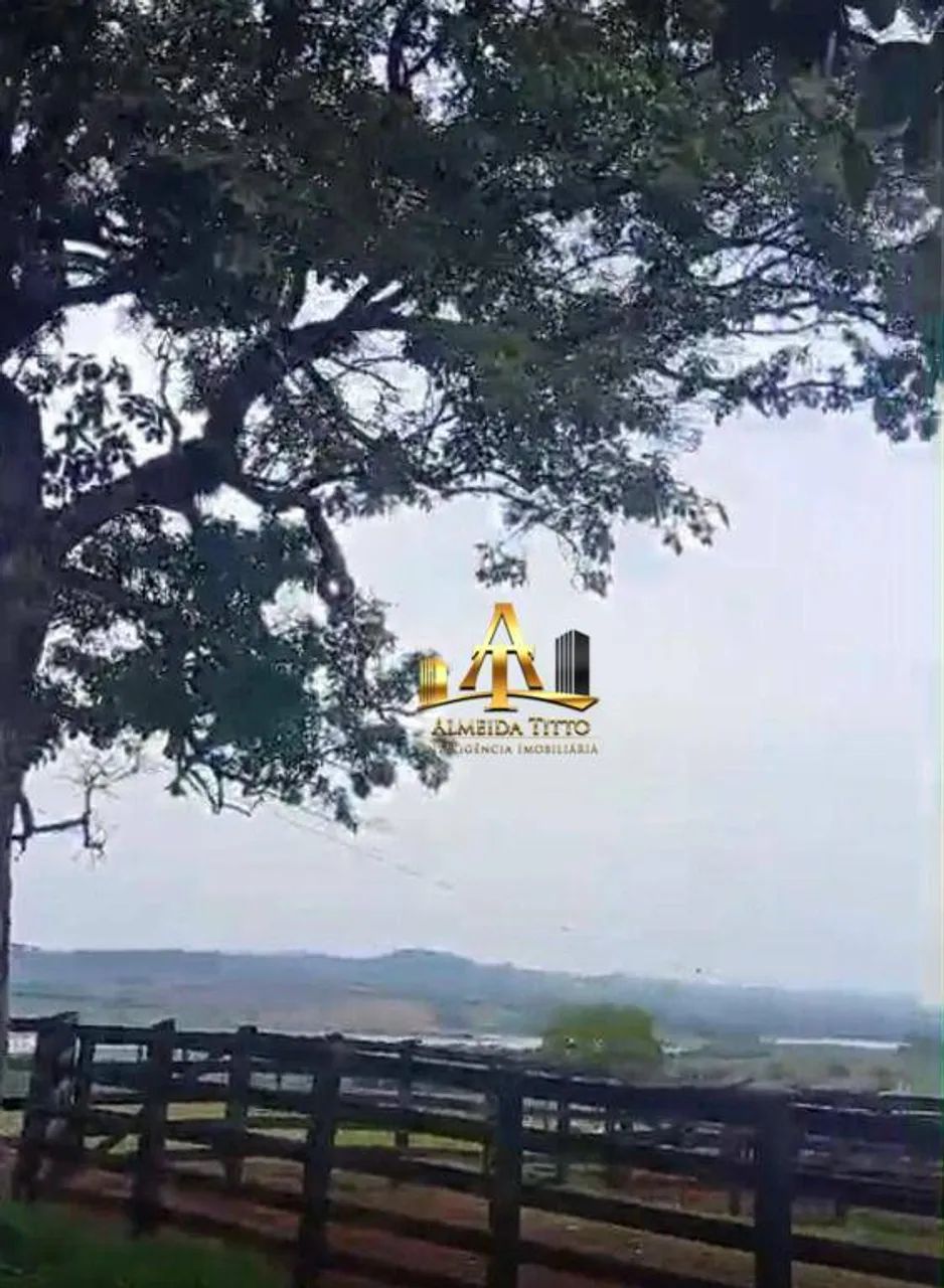 Fazenda à Venda em Coronel Macedo/SP - Foto 2