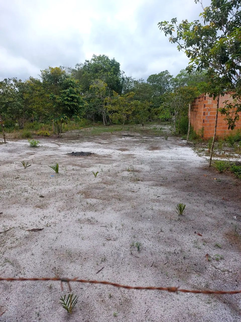 Terreno a venda - Foto 3