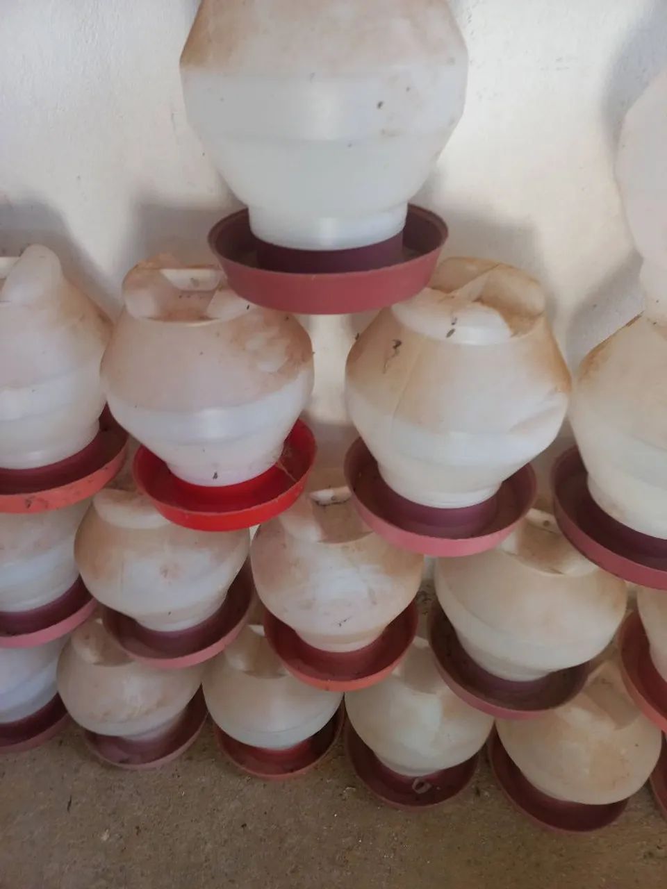 Comedouros e Bebedouros automático!!! - Foto 4