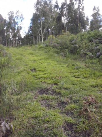 Sítio em Urubici - Foto 4