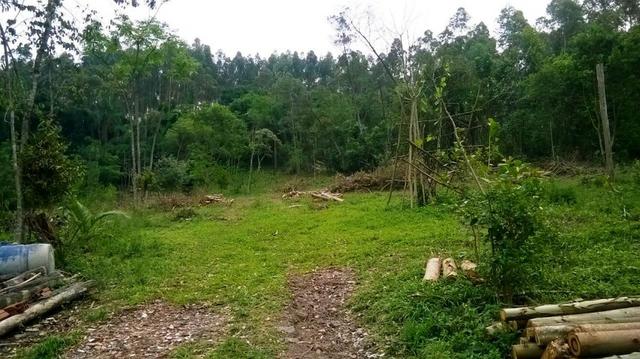 Sitio para Laser na Costa da Serra - Montenegro - 18 - Foto 12