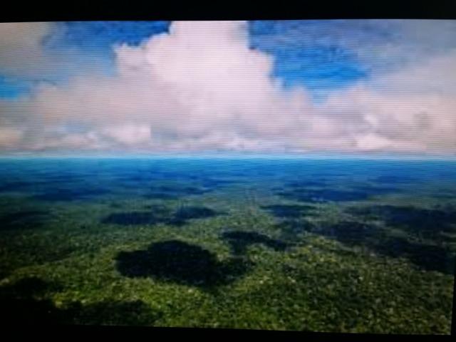 Área de 122.000 hectares na amazônia - Foto 5
