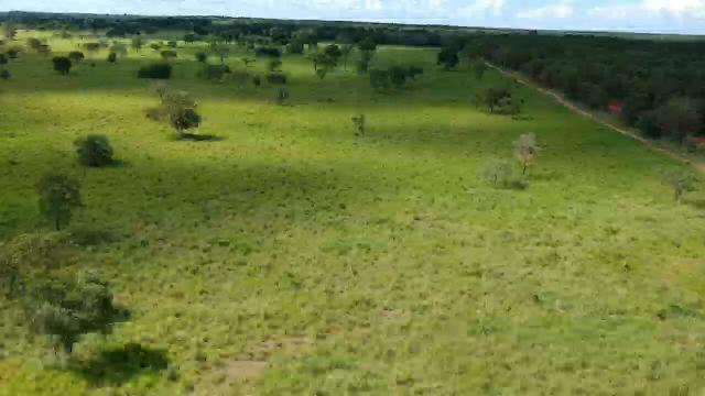 Fazenda em livramento 514 hectares - Foto 3