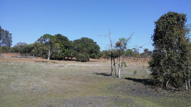 Chácara 14 km de Campo Grande - 9,8 hectares - Foto 15