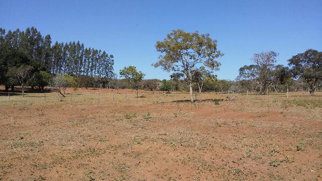 Chácara 14 km de Campo Grande - 9,8 hectares - Foto 18