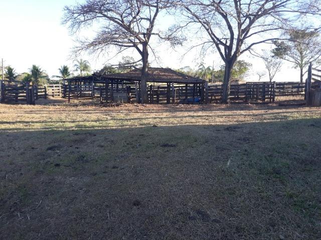 Fazenda de 28 alqueires ( 135 hectares ) Paraúna-GO ( soja ) - Foto 4