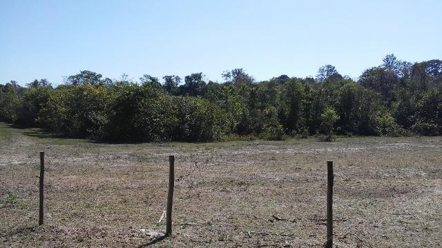 Chácara 14 km de Campo Grande - 9,8 hectares - Foto 11