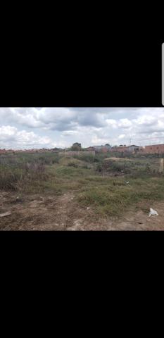 Vendo terreno bairro da paz - Foto 3