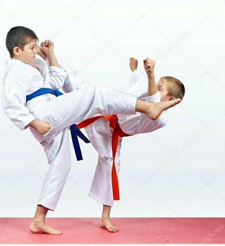 Treinamento de Karatê - Foto 3
