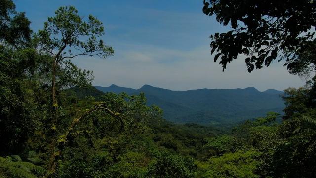 Área em Morretes