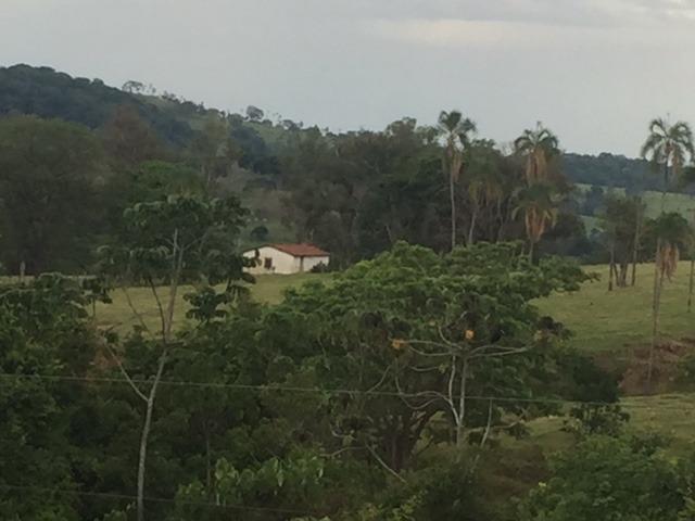 Sitio Inhumas go - Foto 16