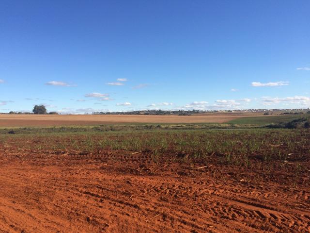 Rodovia Castelo Branco, Fazenda 243 Alqueires - Foto 3