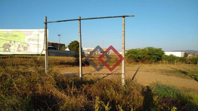 Terreno à venda, 4.200 m² - nova caruaru - caruaru/pe - Foto 16