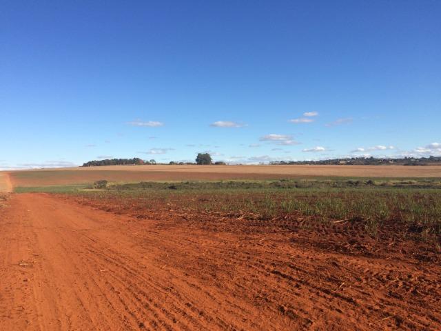 Rodovia Castelo Branco, Fazenda 243 Alqueires - Foto 2