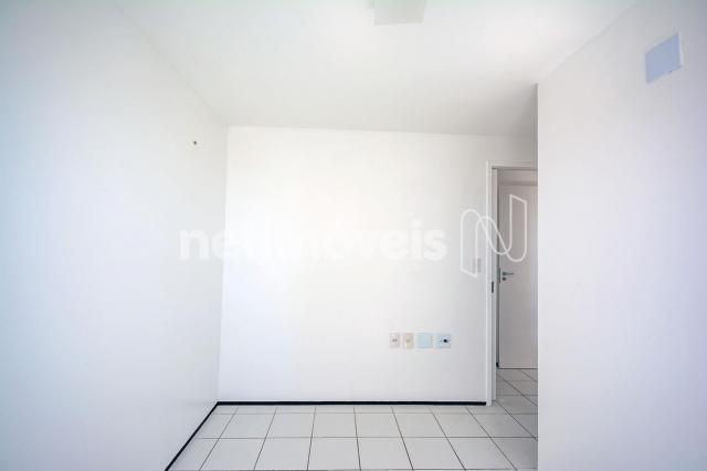 Apartamento para alugar com 3 dormitórios cod:776602 - Foto 10
