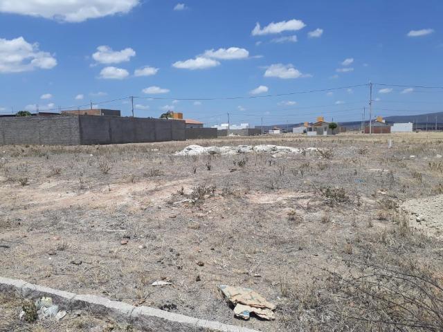Terreno Loteamento Rocha Arcoverde - Foto 3